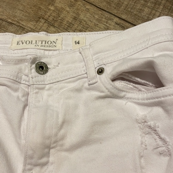 Evolution in Design - Picture 2 of 8